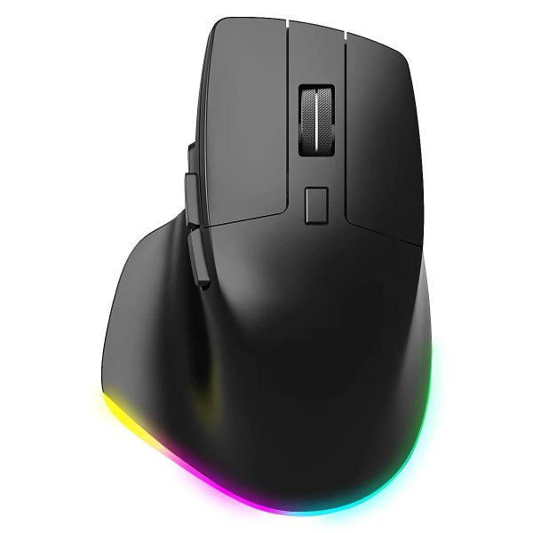 Ergonomic Mouse